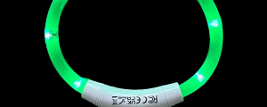 Illuminate Your Pet's Style: USB Rechargeable LED Dog & Cat Collar - Perfect for Christmas Gifts and Festive Fun!