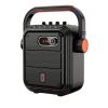 Portable Karaoke Machine with 2 Wireless Microphones