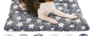 Flannel Pet Sleeping Mat Dog Bed Cat Litter Puppy Bed Dog Sofa Lovely Mattress Cushion for Small Large Dog Blanket For Winter