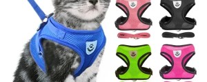 Adjustable Mesh Pet Harness with Leash, Polyester Vest Type Walking Strap for Small Medium Cats Dogs