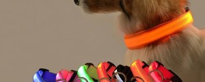 Nylon LED Night Safety Flashing Glow In The Dark Dog Leash Dogs Luminous Fluorescent Pet Dog Collar
