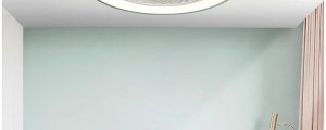 52CM  Ceiling Fan Light Lamp 220V APP +Remote Control Fans Bedroom Dining Room Wood Ceiling Fan With Lights DC Green Ceiling Fan
