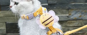 Cat Harness Leash Collar Set Adjustable Cartoon Bee Double Layer Dog Harness for Small Medium Pet Collar Leash Outdoor Walking